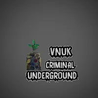 Vnuk — Criminal / Underground — обложка